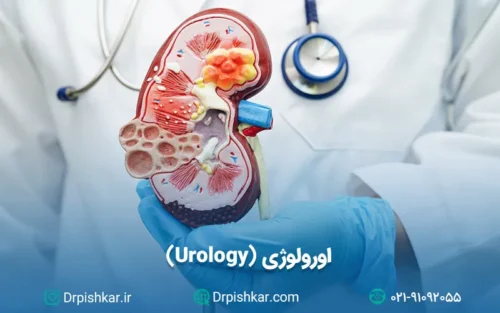 نمونه سوالات اورولوژی